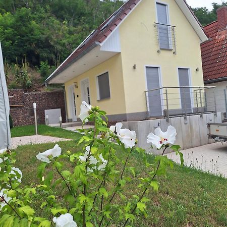 Ferienhaus Saaleblick Wettin Exterior foto