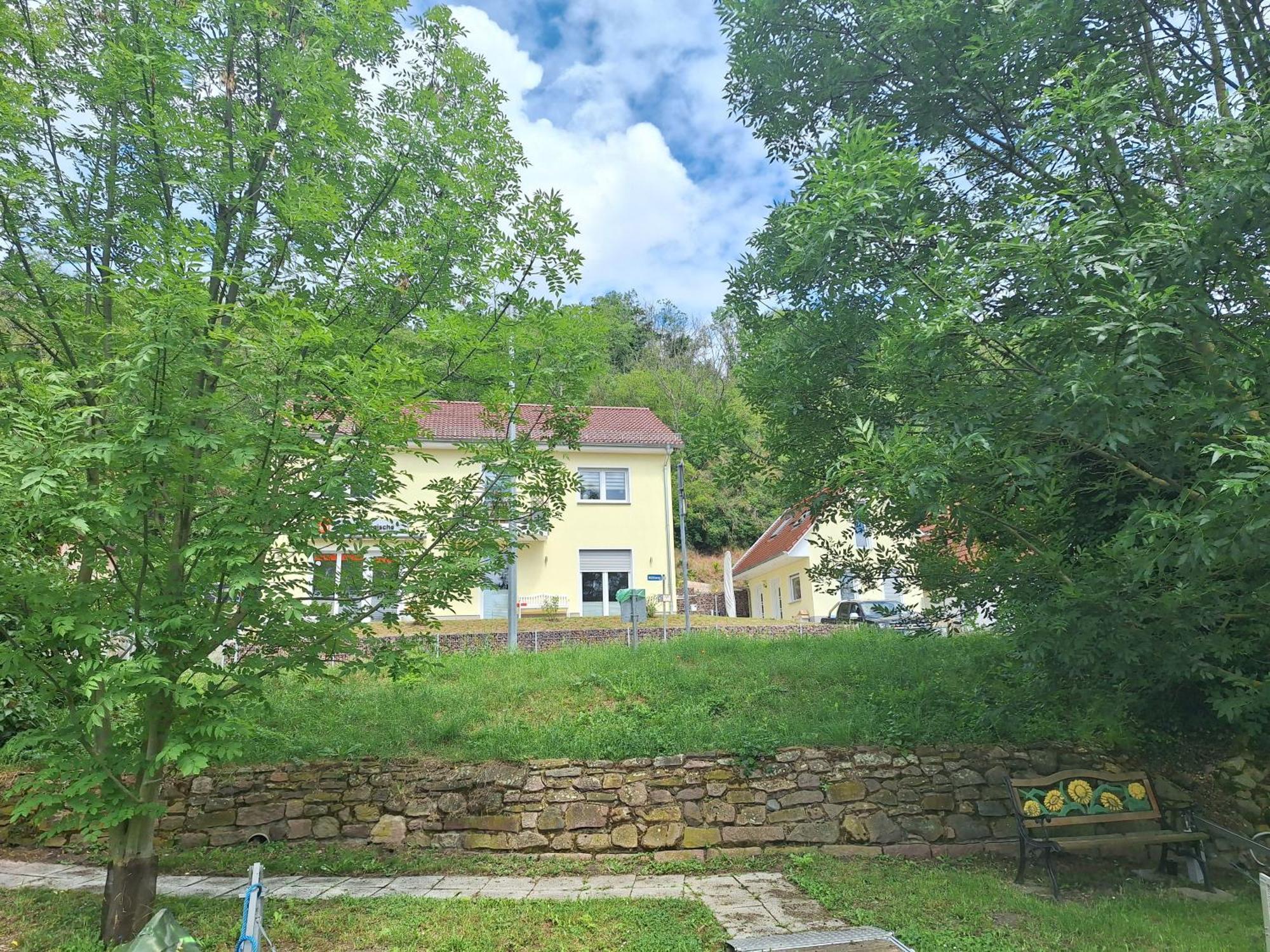 Ferienhaus Saaleblick Wettin Exterior foto